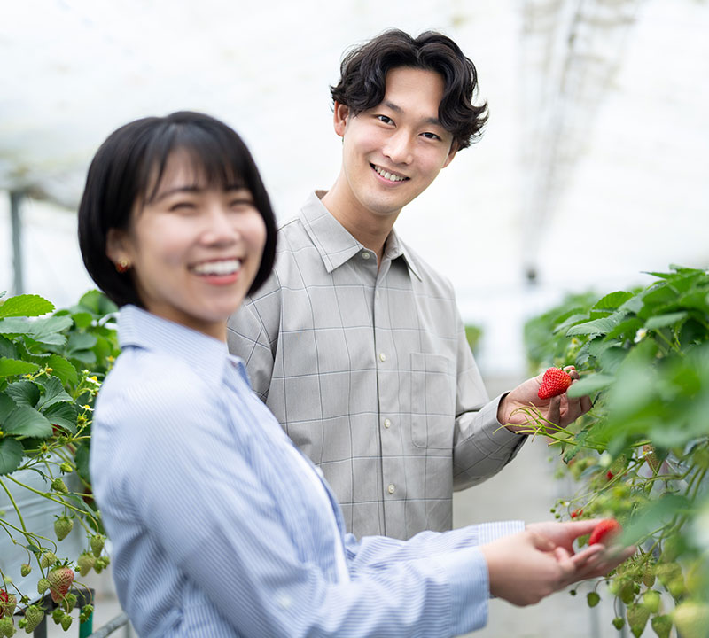 男性向け結婚相談サポート